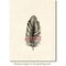 Deep Red Stamps Feather Rubber Cling Stamp 1.5 x 3.2 inches